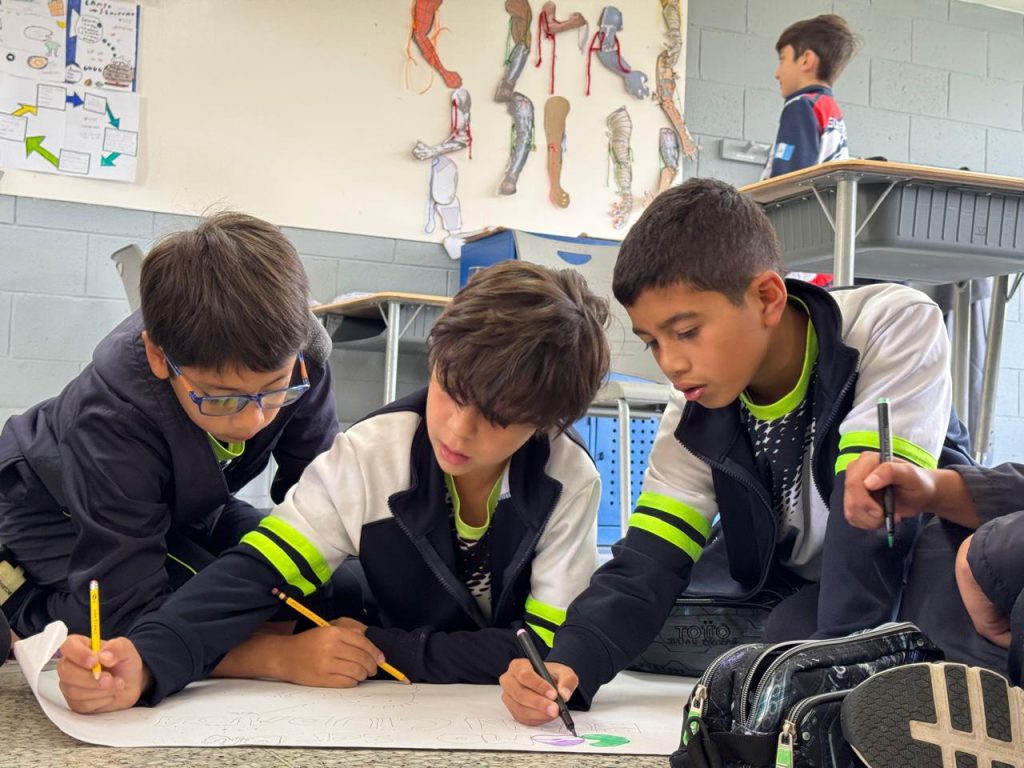 primaria en guatemala
